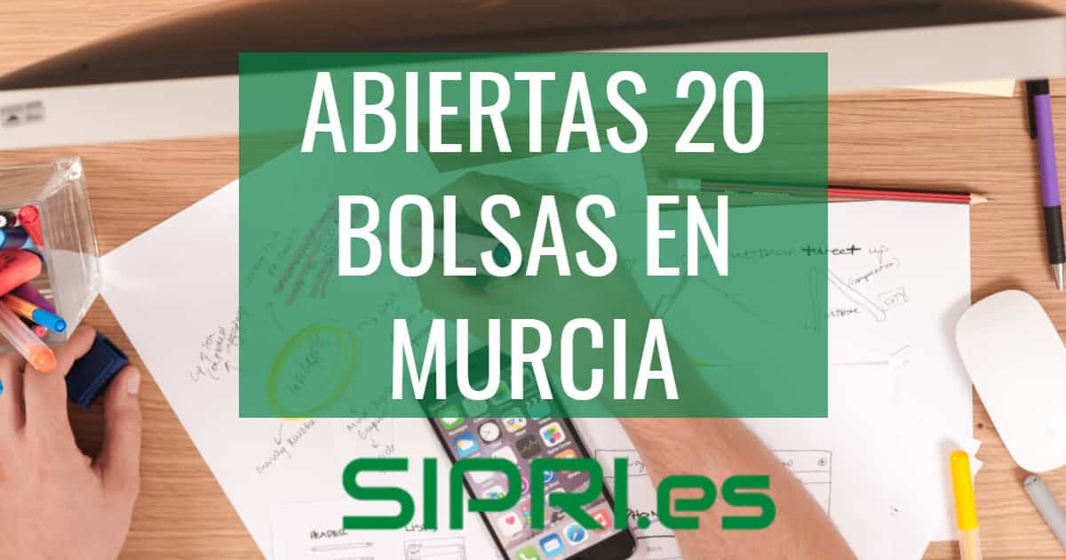 Convocatoria de bolsas docentes en Murcia